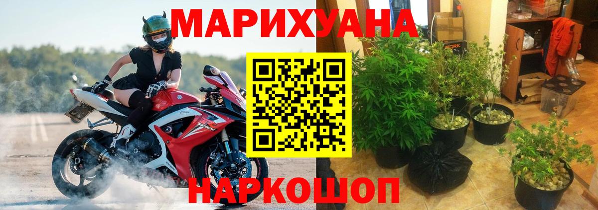 Дзержинск  Бошки Шишки ГИДРОПОН  Канабис конопля  Шишки марихуана Amnesia  Конопля THC 21%  Вход с VPN 
